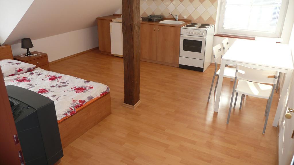 Apartments U Cara チェスケー・ブジェヨヴィツェ 部屋 写真
