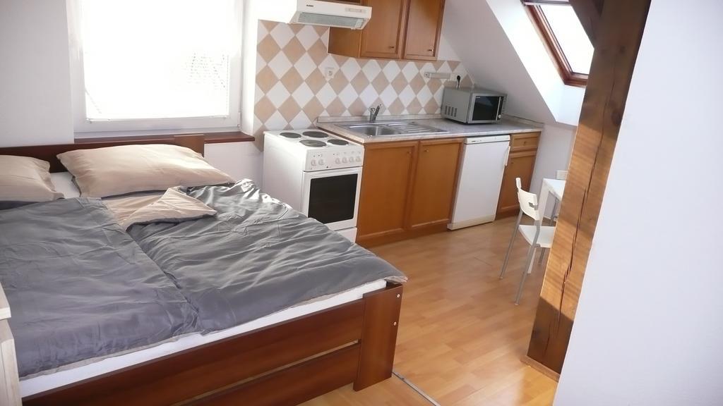Apartments U Cara チェスケー・ブジェヨヴィツェ 部屋 写真