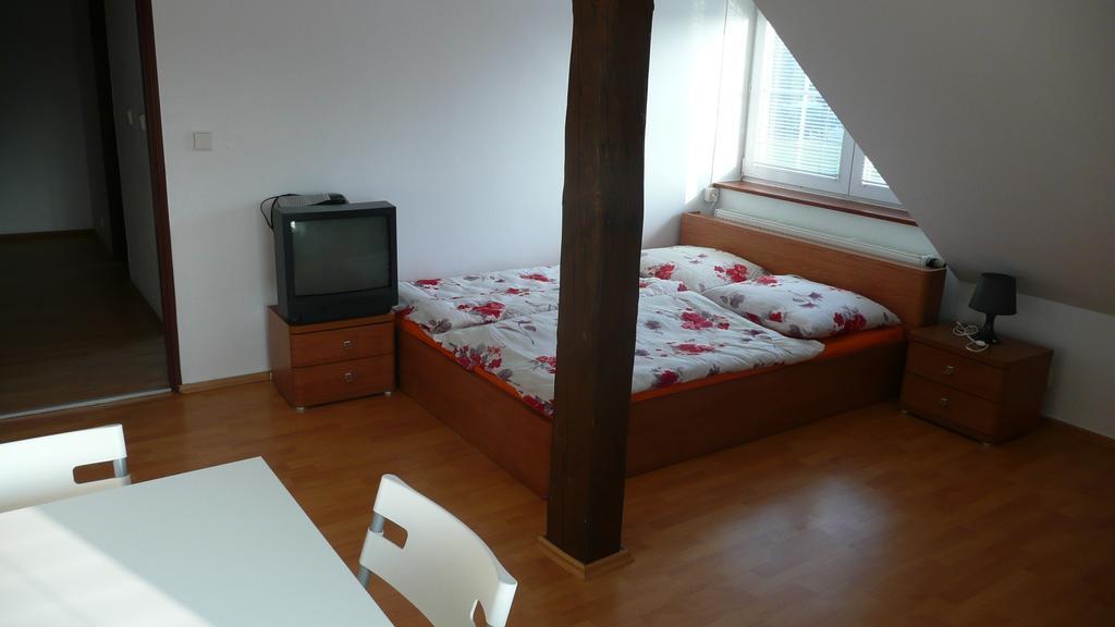 Apartments U Cara チェスケー・ブジェヨヴィツェ 部屋 写真